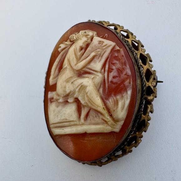 Vintage Cameo Brooch with Gold Trim - Picture 2 of 14